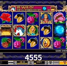 4555 São Paulo - All Bonuses