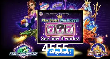 Descubra a Essência do 4555: Nossa História e Compromissos