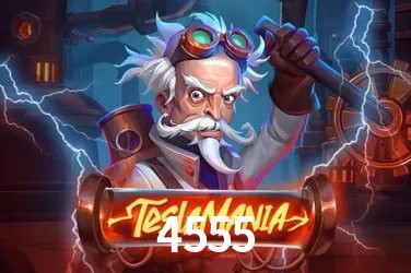 Sistemas de Segurança 4555
